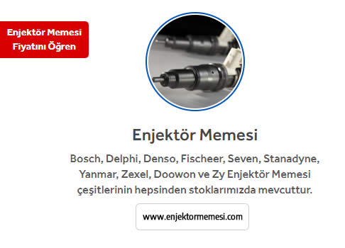 Enjektör memesi